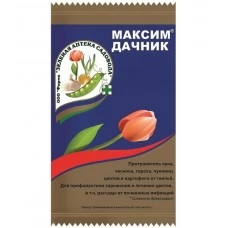 Максим Дачник, 2 мл