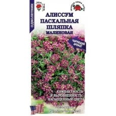 Алиссум Пасхальная шляпка Малиновая 0,01г