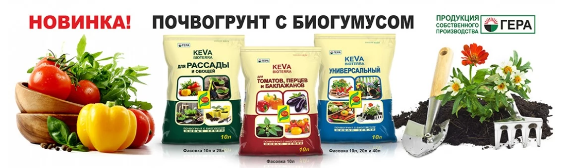 Грунты
