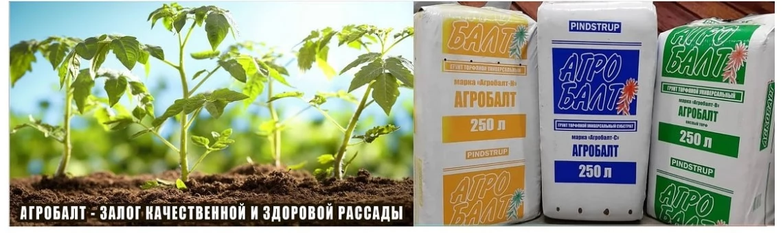 Агробалт