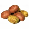 Картофель