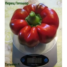 Перец Гогошар полуострый . (10 шт. семян)