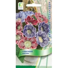 Глоксиния Жаклин 5 шт.