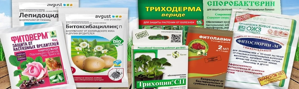 Средства защиты растений от болезней