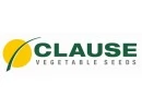 Clause