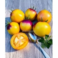 Томат Блюз на Блюде ( 10шт. семян) Томат Блюз на Блюде ( 10шт. семян)