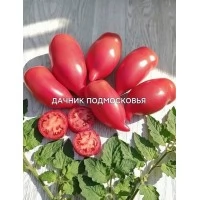 Томат Долговязая Салли Малиновая ( 10 шт. семян ) Томат Долговязая Салли Малиновая ( 10 шт. семян )