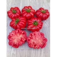 Томат Русская Гармошка ( 10 шт. семян ) Томат Русская Гармошка ( 10 шт. семян )