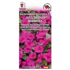 Бальзамин Лоллипоп Малина 5шт