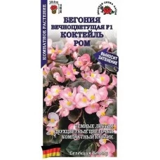 Бегония вечноцветущая Коктейль Ром  5 шт