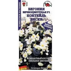 Бегония вечноцветущая Коктейль Виски 5 шт