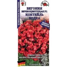 Бегония вечноцветущая Коктейль Водка 5 шт