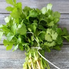 Кориандр Марокканский (белый пакет) 2 гр.