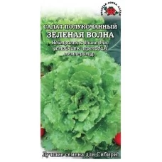 Салат Зеленая Волна