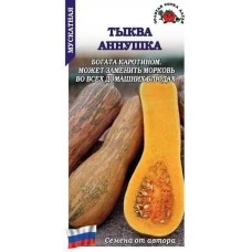 Тыква Аннушка мускатная  1г