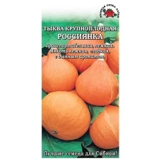 Тыква  Россиянка 2 г.