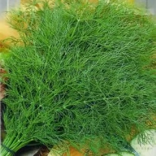 Укроп Император (белый пакет), 1 гр