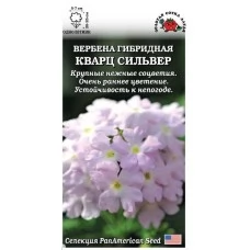  Вербена Кварц Сильвер 5 шт.